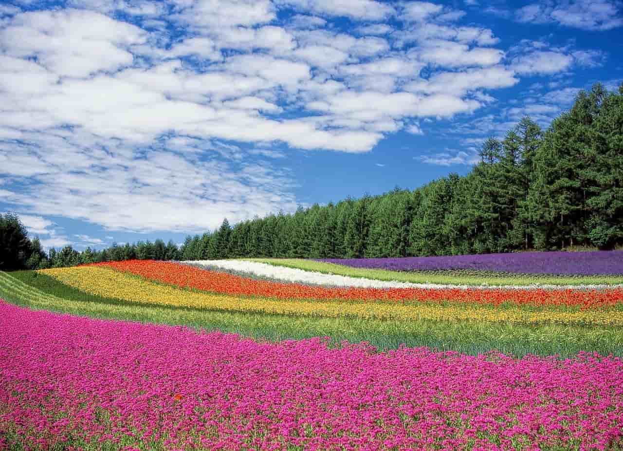 Numeri e colori: significato e personalità